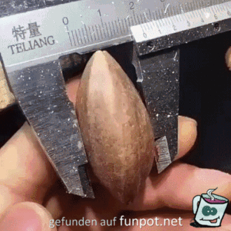 Kunstvoll Kunstvoll