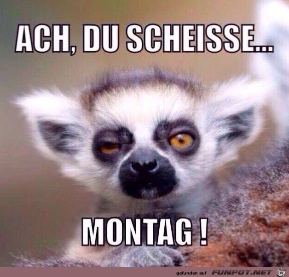 Montag