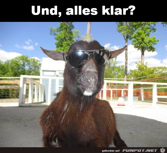 Alles klar Alles klar