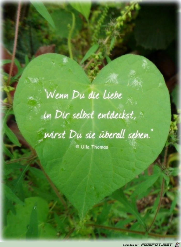 wenn du die liebe