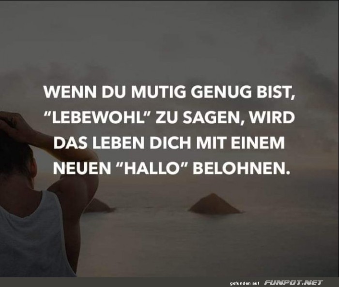 10 sch�ne Spr�che und Lebensweisheiten aus...