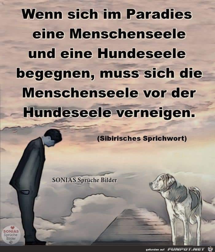 wenn sich im paradies wenn sich im paradies