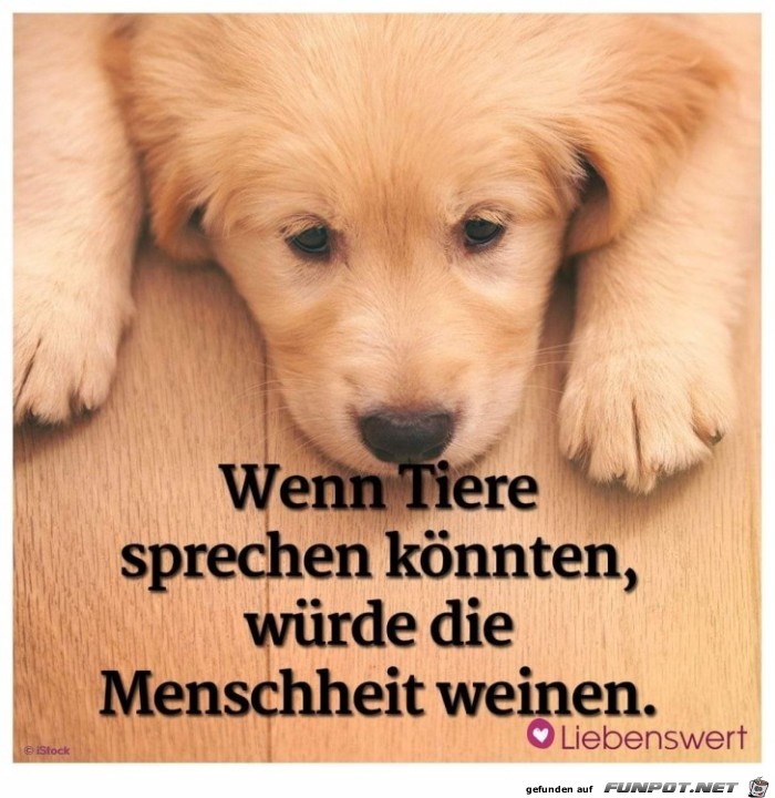 wenn tiere sprechen koennten