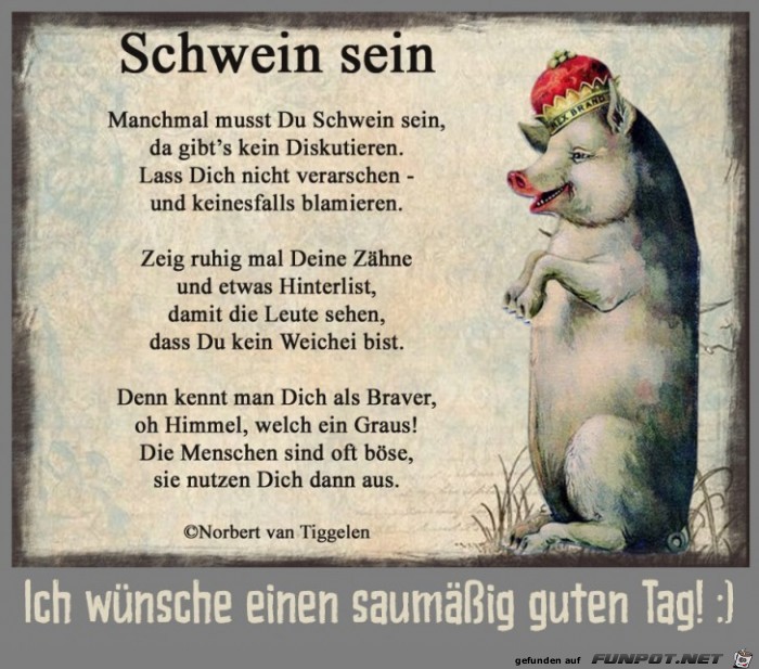 Manchmal musst du Schwein sein! Manchmal musst du Schwein sein!