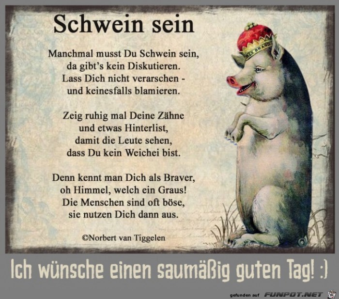 Manchmal musst du Schwein sein!