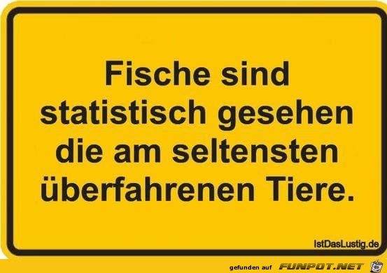 Fische Fische