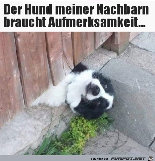 Hier bin ich Hier bin ich