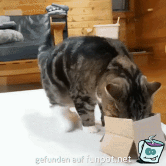 War etwas zu klein der Karton War etwas zu klein der Karton