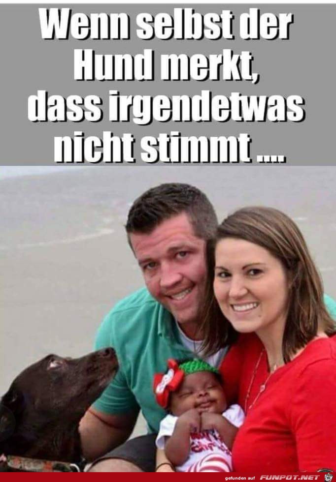 stimmt nicht