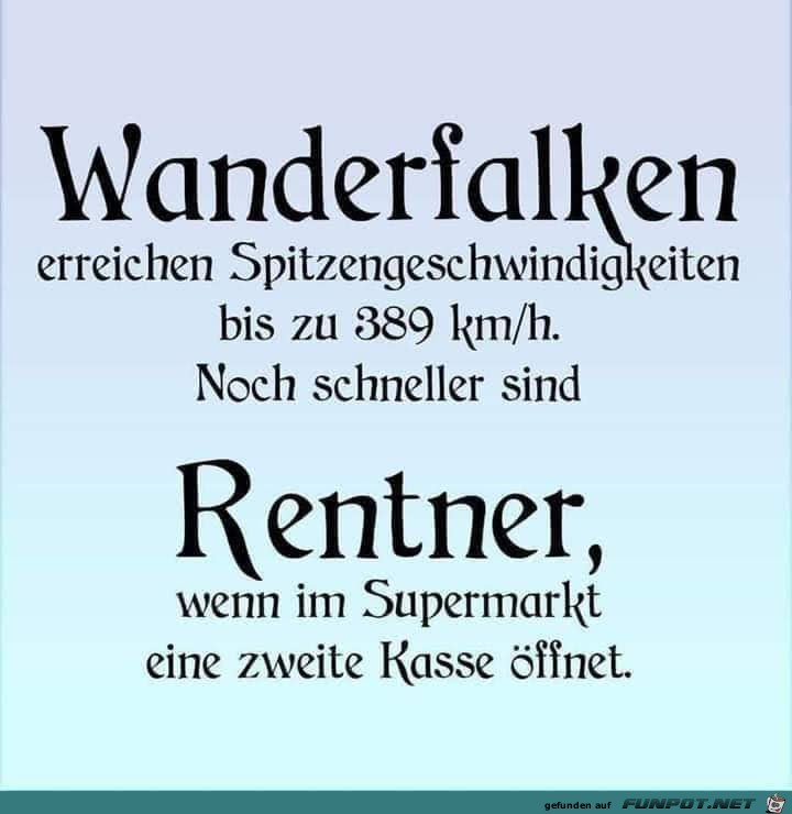 Falken Falken