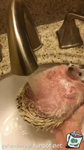 Knuffiger Igel Knuffiger Igel