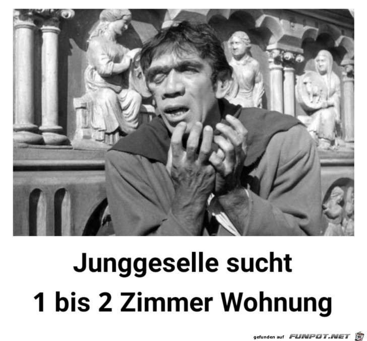 Quasimodo Quasimodo