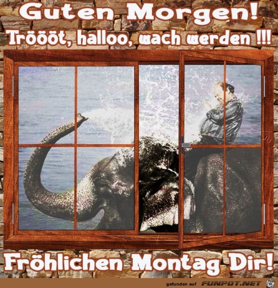 Montag Montag