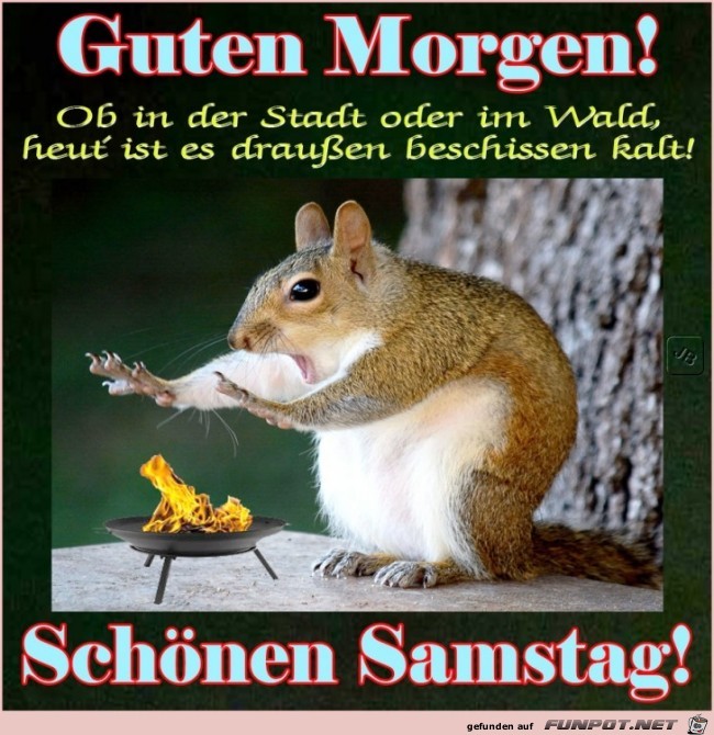 Samstag