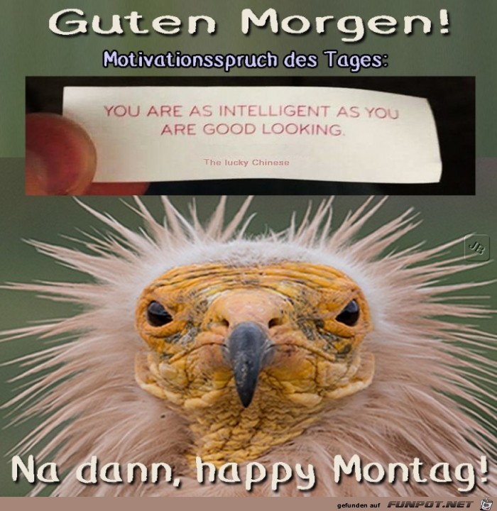 Montag Montag