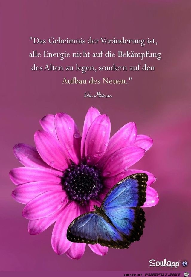 das Geheimnis der Veraenderung das Geheimnis der Veraenderung