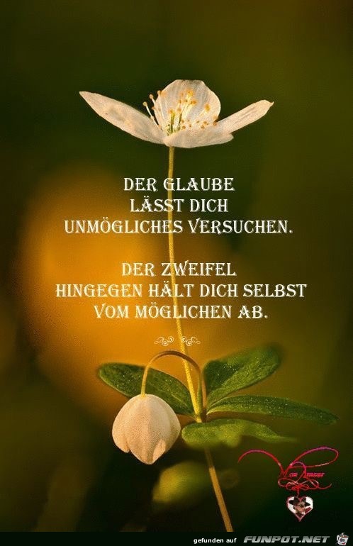 der glaube laesst dich unmoegliches versuchen der glaube laesst dich unmoegliches versuchen