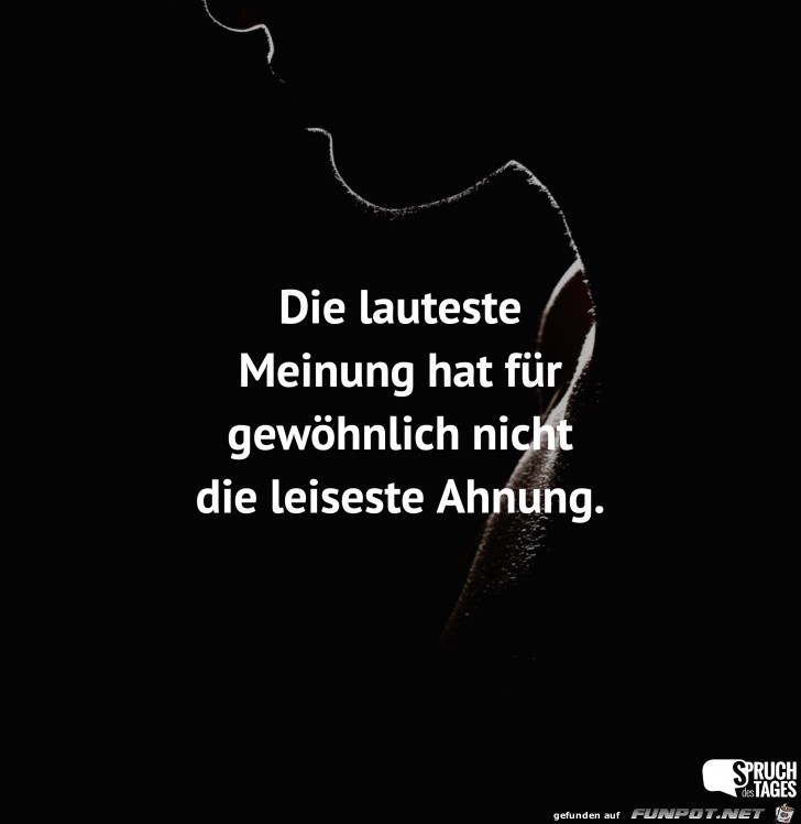 die lauteste Meinung die lauteste Meinung