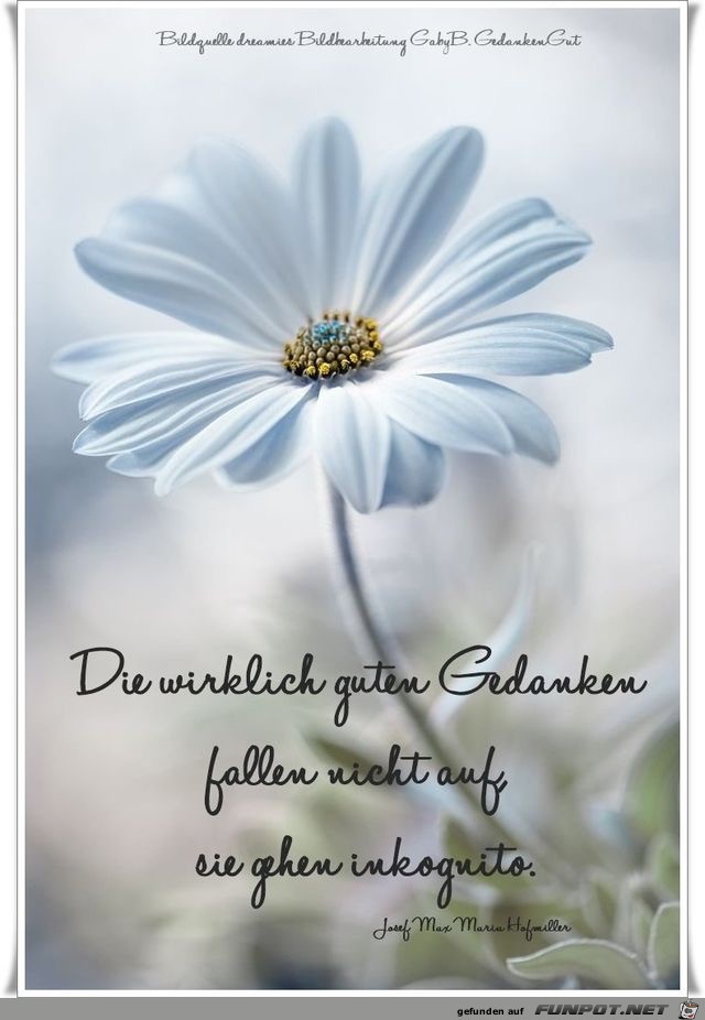 die wirklich guten Gedanken die wirklich guten Gedanken