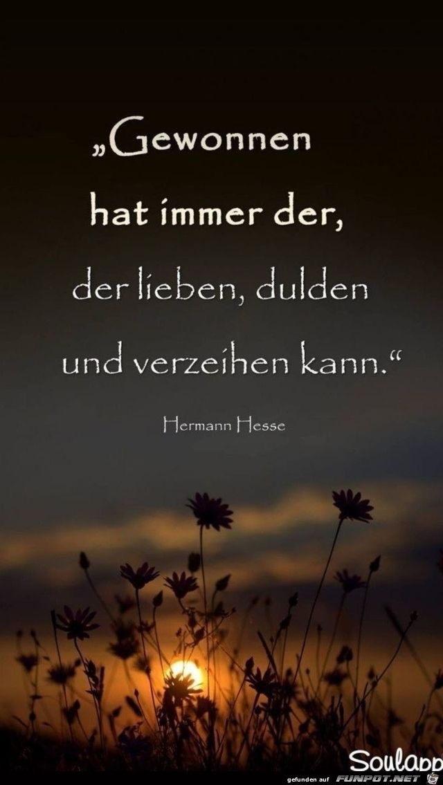 gewonnen hat immer der gewonnen hat immer der