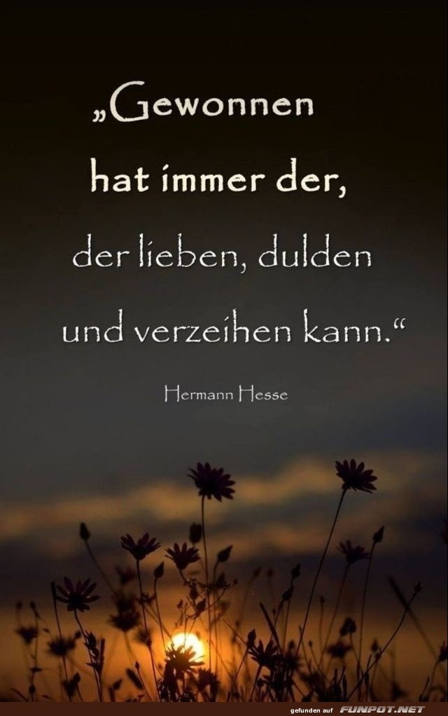 10 sch�ne Spr�che und Lebensweisheiten aus...