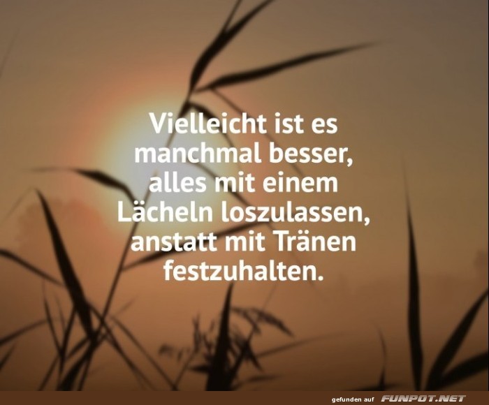 10 sch�ne Spr�che und Lebensweisheiten aus...