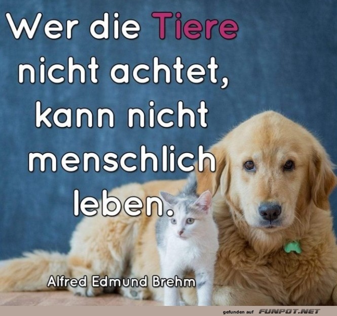 10 schöne Sprüche und Lebensweisheiten aus... 10 schöne Sprüche und Lebensweisheiten aus...