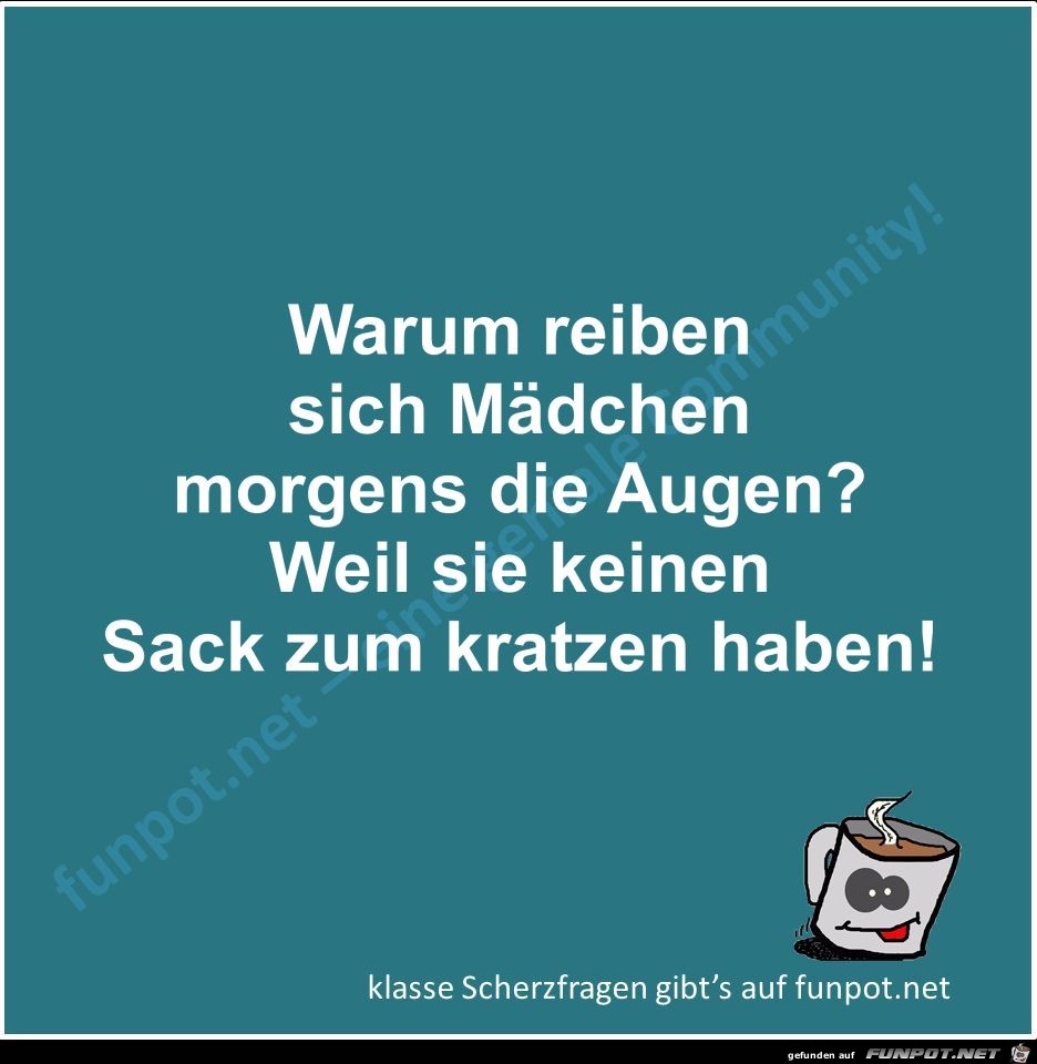 Scherzfrage Scherzfrage