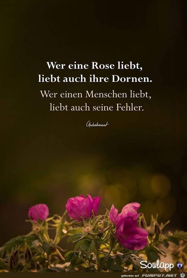 wer eine Rose liebt