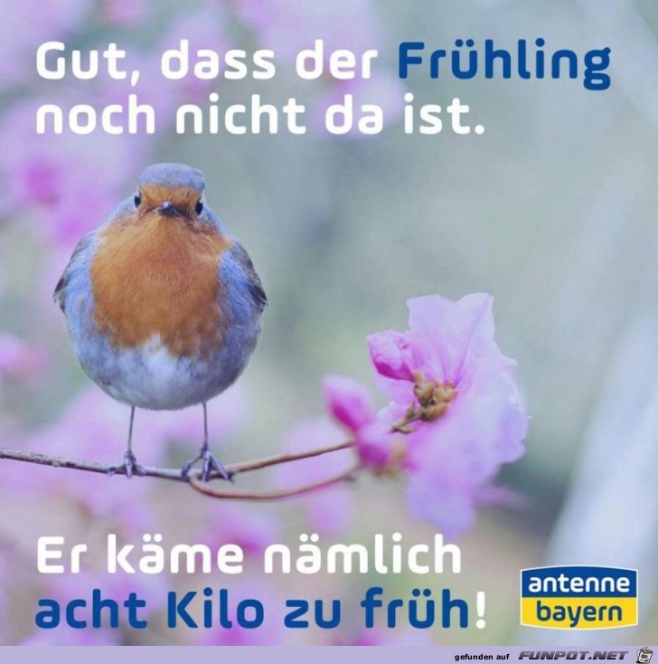 gut dass der fruehling