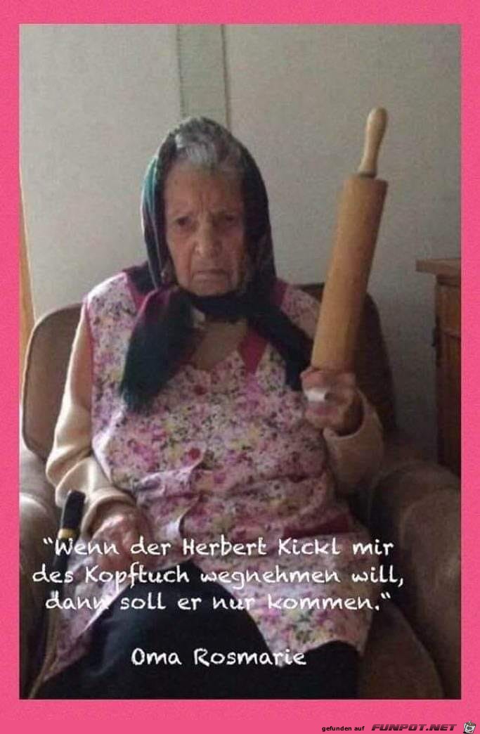 wenn der herbert kickl wenn der herbert kickl