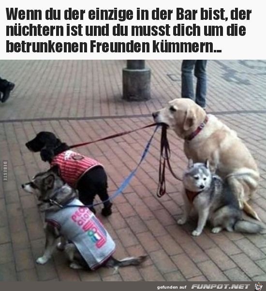 wenn du der einzige wenn du der einzige