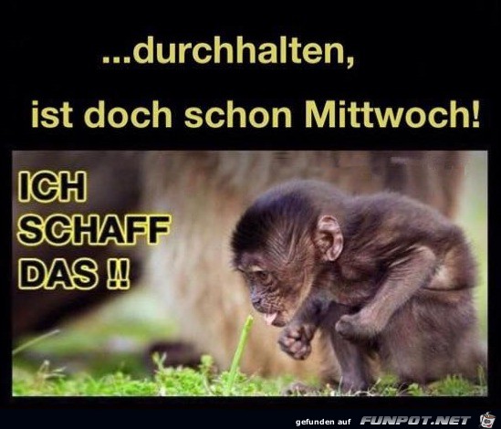 Mittwoch Mittwoch