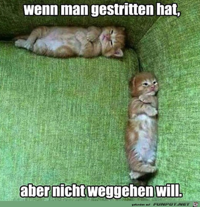 Wie nett Wie nett