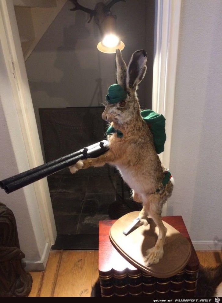 frohe Ostern frohe Ostern