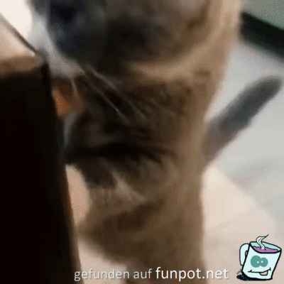 Bleib weg Bleib weg