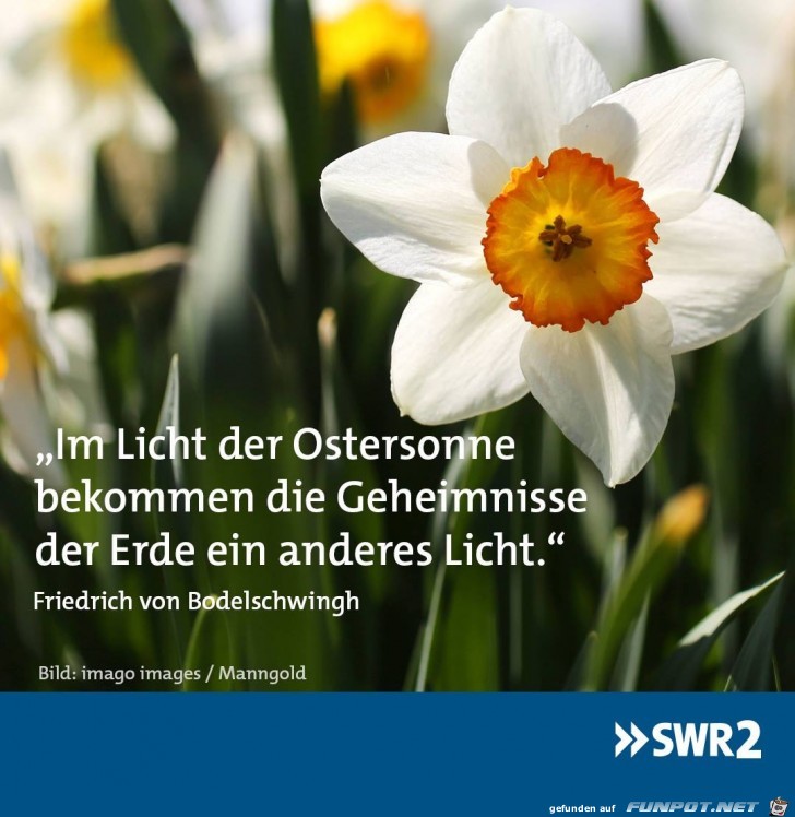 im Licht der Ostersonne im Licht der Ostersonne