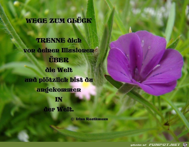 Trenne dich von deinen Illusionen Trenne dich von deinen Illusionen