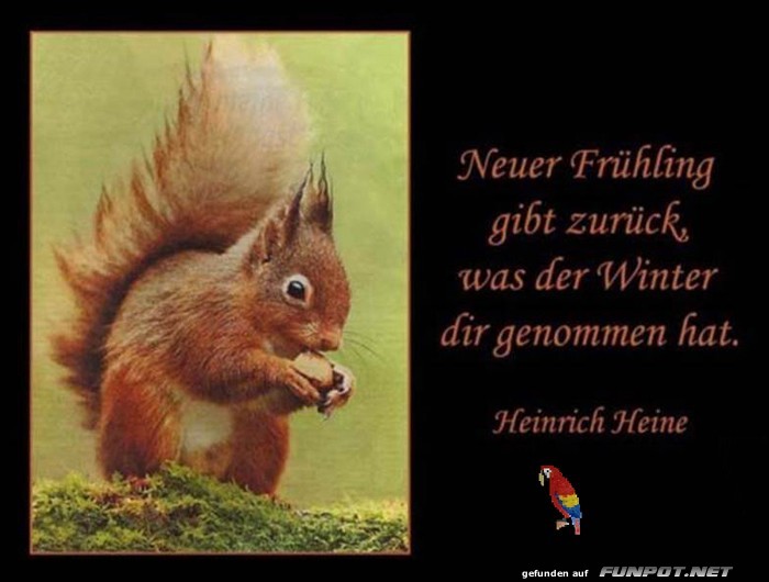 Neuer Fruehling Neuer Fruehling