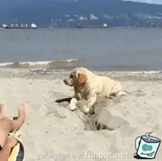 Auf die Plätze fertig los Auf die Plätze fertig los