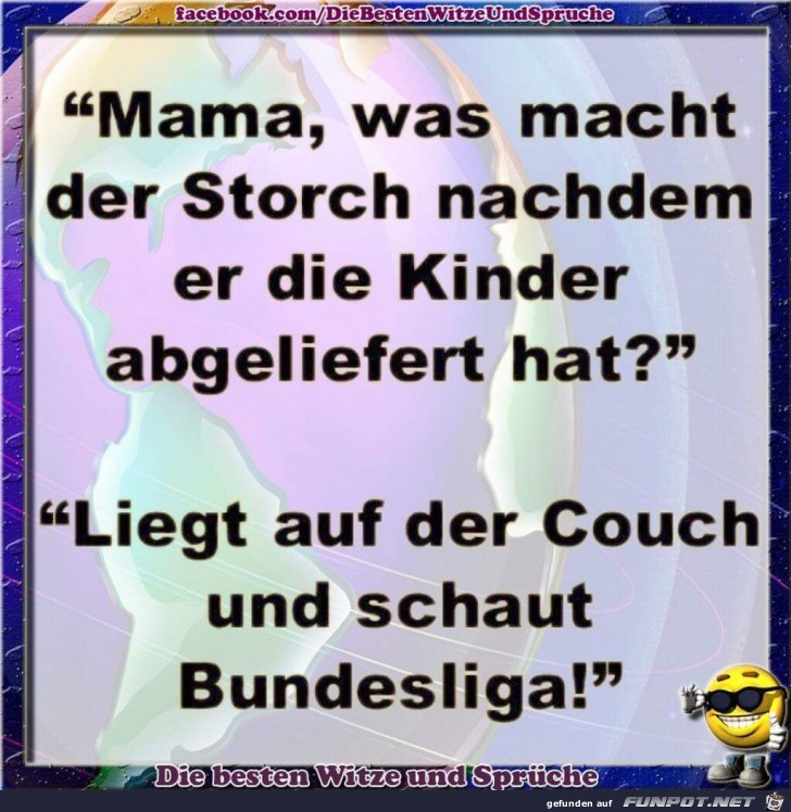 Storch Storch