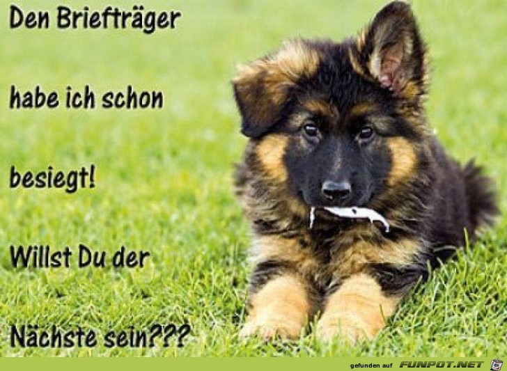 Der Nächste Der Nächste