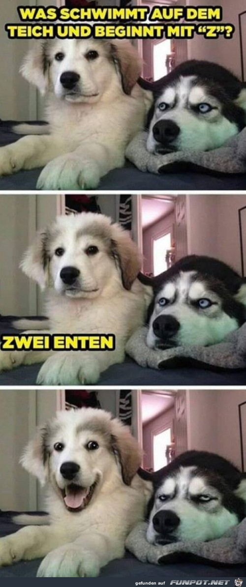 Diese Blicke Diese Blicke