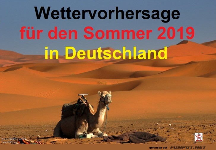 Wettervorhersage Sommer19