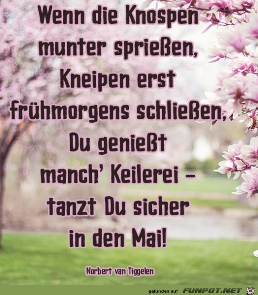 Mai2 2019 Mai2 2019