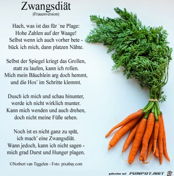 Zwangsdit Frauen 2019