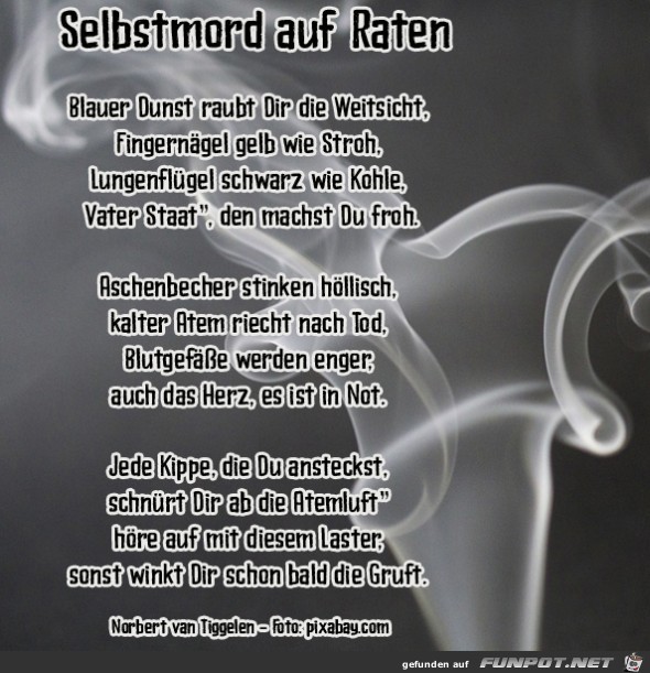 Selbstmord auf Raten 2019 Selbstmord auf Raten 2019