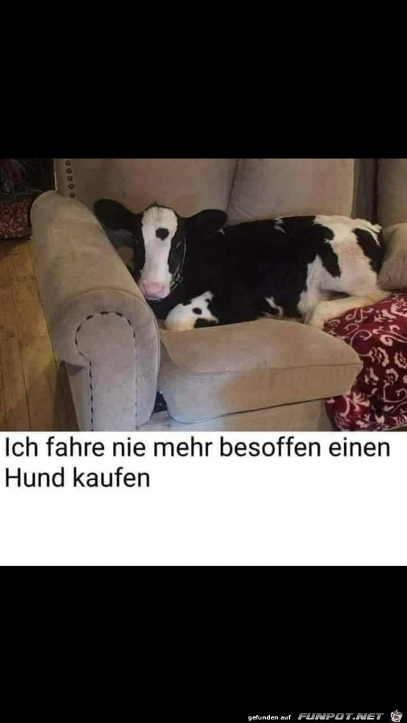 besoffen besoffen