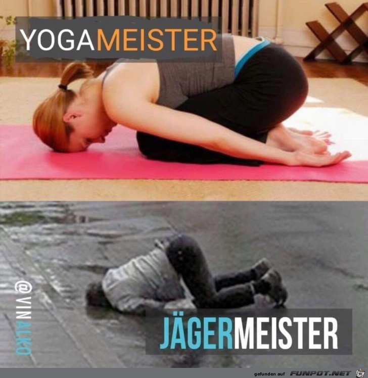 Yogameister