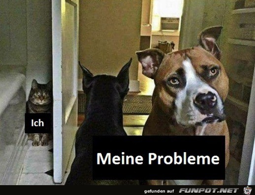 Große Probleme Große Probleme